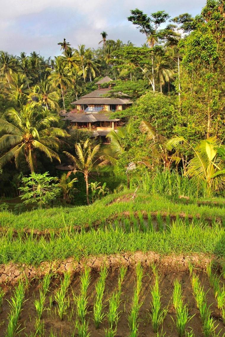 Lumina Residences And Wellness Sanctuary Ubud Eksteriør bilde