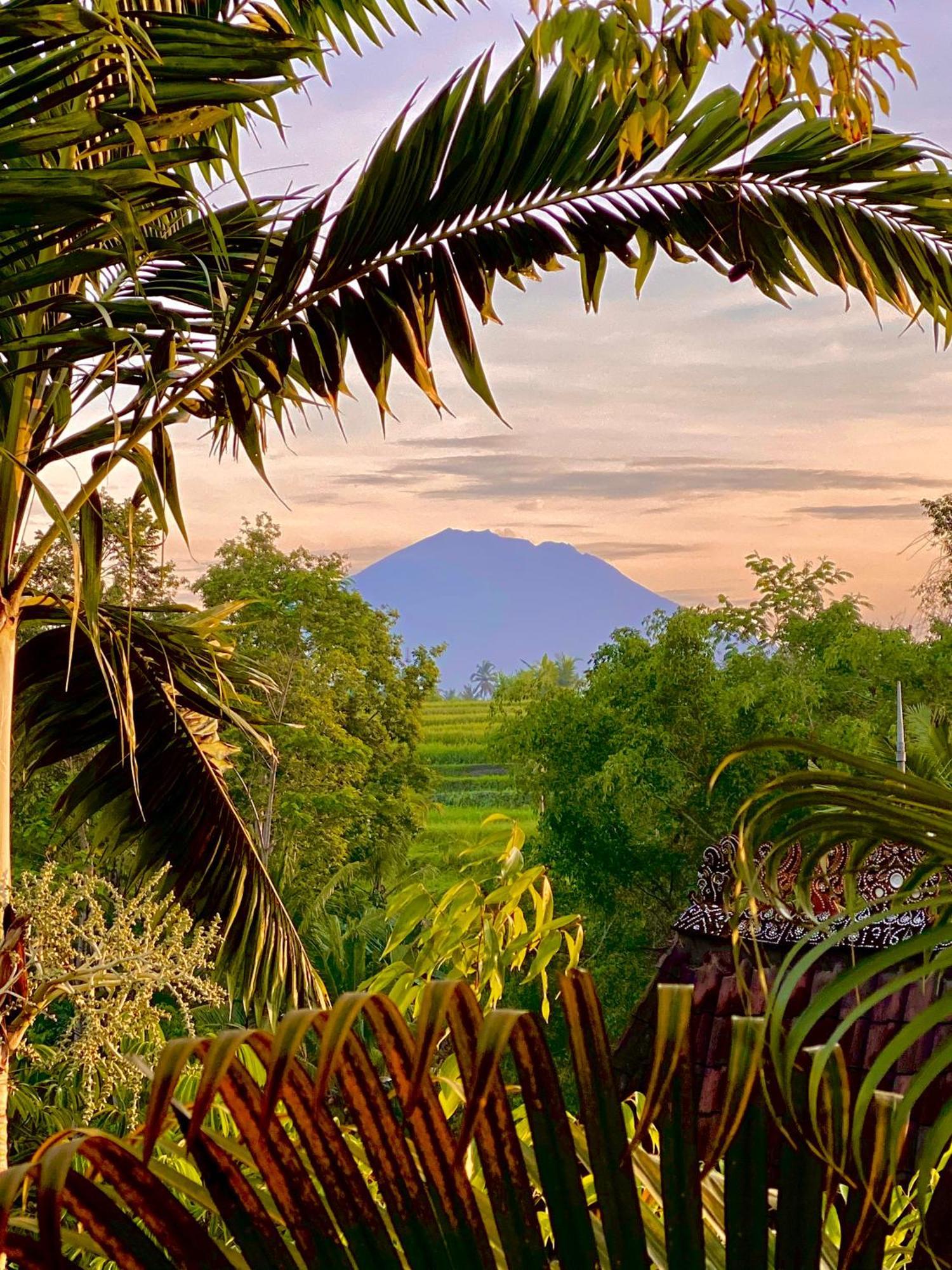 Lumina Residences And Wellness Sanctuary Ubud Eksteriør bilde